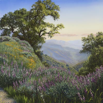 Lupine Trail