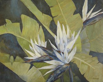 Elloitt Ciampi /Art